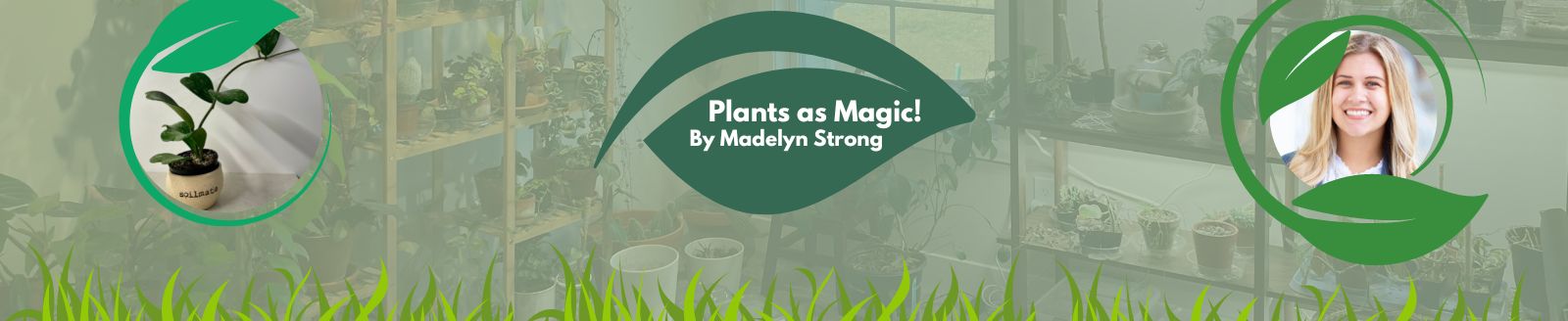 plants as magic