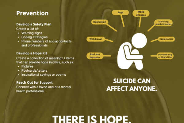 suicide infographic