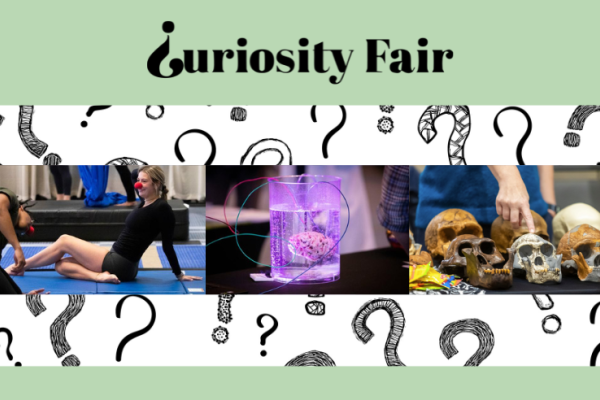 curiosity_fair_2024.png