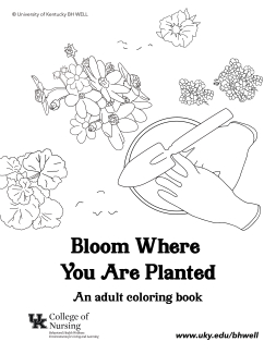 Bloom Where You Are Planted
