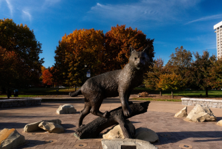 wildcat statue