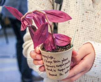 inspirational potted plant