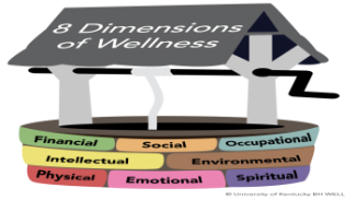 Dimensions of Wellness About Us