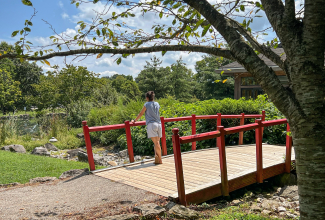 person on bridge