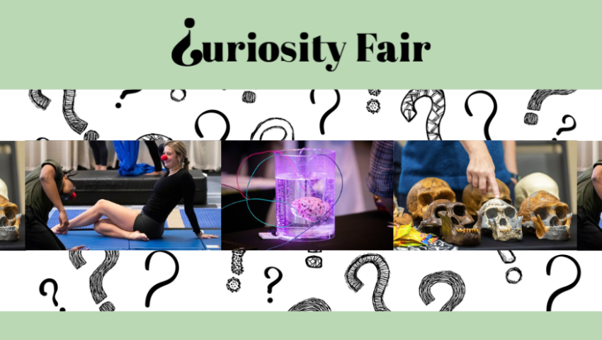 curiosity_fair_2024.png