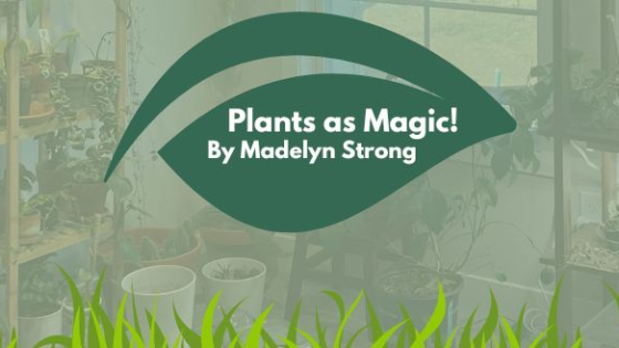 plants as magic