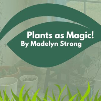 plants as magic